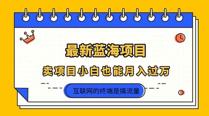 （14289期）2025年最新蓝海项目，卖项目小白也能月入过万-润格副业网-每天分享热门副业赚钱项目
