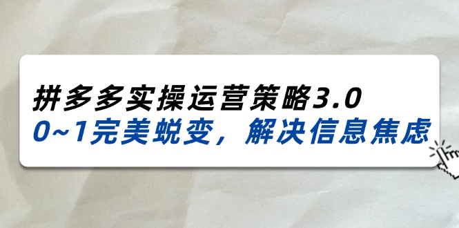 (11658期)2024_2025拼多多实操运营策略3.0,0~1完美蜕变,解决信息焦虑(38节)-润格副业网-每天分享热门副业赚钱项目