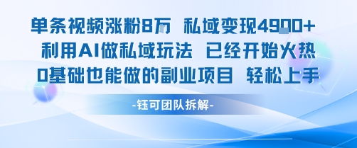 单条视频私域变现4.9k+利用AI做私域玩法 已经开始火热0基础也能做的副业项目轻松上手-润格副业网-每天分享热门副业赚钱项目