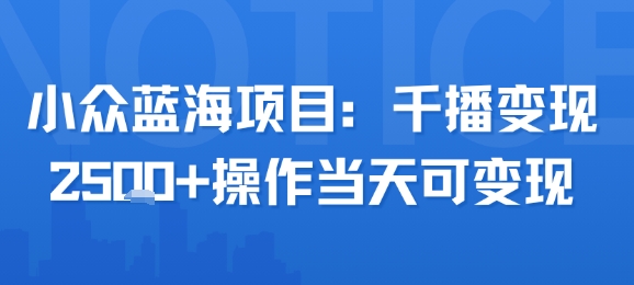 小众蓝海项目,千播变现2.5k+操作当天可变现-润格副业网-每天分享热门副业赚钱项目