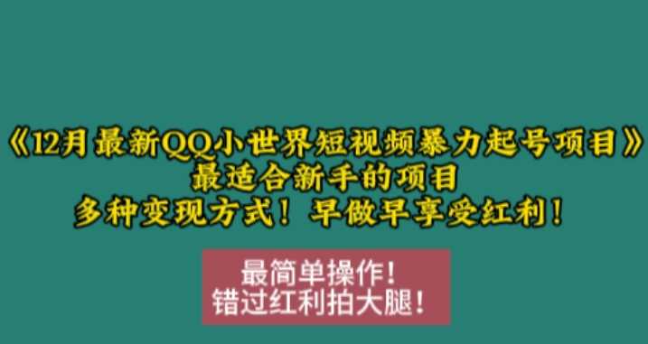 12月最新QQ小世界短视频暴力起号项目,最适合新手的项目,多种变现方式-润格副业网-每天分享热门副业赚钱项目
