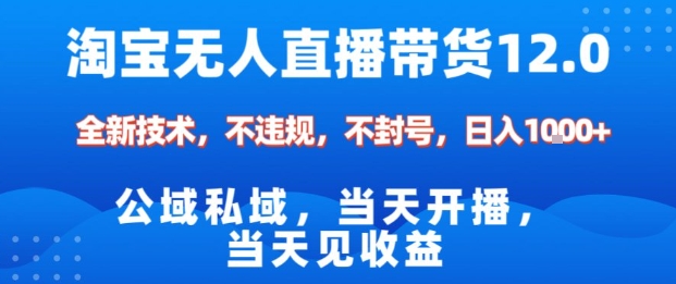 淘宝无人直播12.0，公域私域技术，不封号，不违规布局双十一流量风口，日入1k（独家技术）【揭秘】-润格副业网-每天分享热门副业赚钱项目