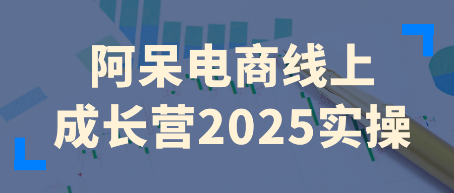 阿呆电商线上成长营2025实操-润格副业网-每天分享热门副业赚钱项目