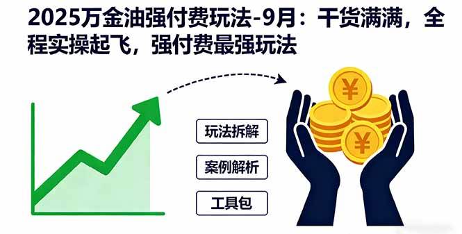 （16202期）2025万金油强付费玩法-9月：干货满满，全程实操起飞，强付费最强玩法-润格副业网-每天分享热门副业赚钱项目