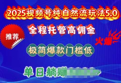 2025视频号纯自然流玩法5.0,全程托管高佣金,极简爆款门槛低,单日收益多张【揭秘】-润格副业网-每天分享热门副业赚钱项目