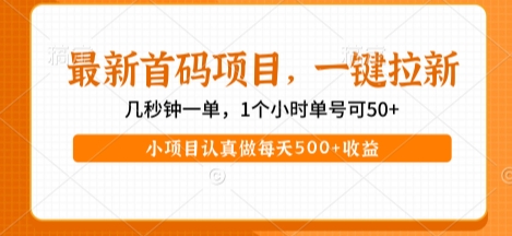最新首码项目，操作最简单，收益高，一键拉新，1个小时单号可50+，小项目认真做每天5张+收益【揭秘】-润格副业网-每天分享热门副业赚钱项目