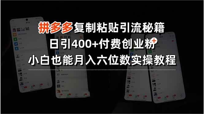 (15613期)拼多多复制粘贴引流秘籍,日引400+付费创业粉,小白也能月入六位数实操…-润格副业网-每天分享热门副业赚钱项目