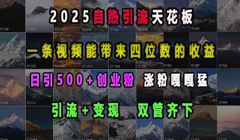 2025自热引流天花板,一条视频能带来四位数的收益,引流+变现双管齐下,日引500+创业粉,涨粉嘎嘎猛-润格副业网-每天分享热门副业赚钱项目