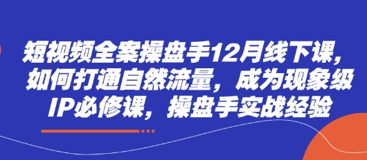 短视频全案操盘手12月线下课，如何打通自然流量，成为现象级IP必修课，操盘手实战经验-润格副业网-每天分享热门副业赚钱项目