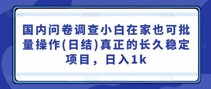 国内问卷调查小白在家也可批量操作(日结)真正的长久稳定项目,日入1k【揭秘】-润格副业网-每天分享热门副业赚钱项目