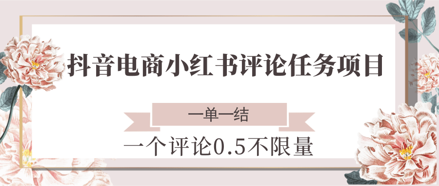 抖音电商小红书评论任务项目,一个评论0.5,一单一结 不限量-润格副业网-每天分享热门副业赚钱项目