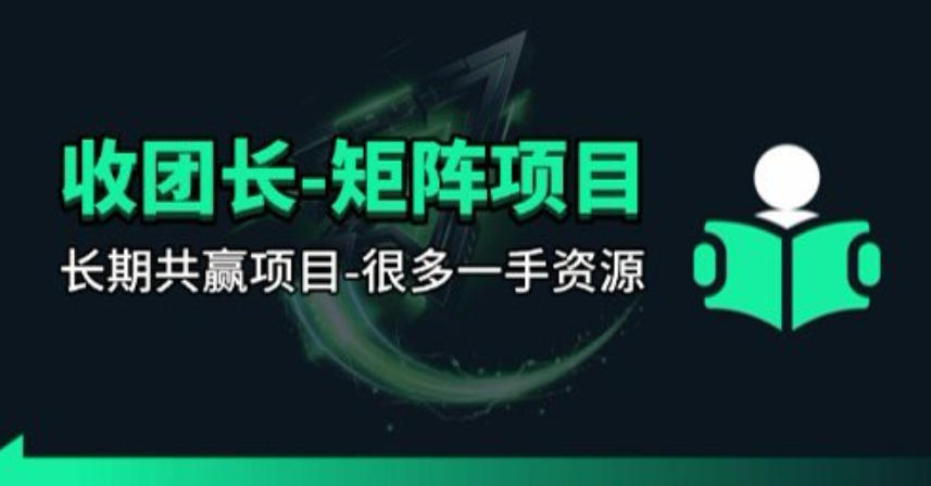 【团长合作】视频矩阵项目_招发手矩阵+剪辑师，共赢项目【揭秘】-润格副业网-每天分享热门副业赚钱项目