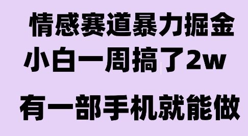 情感暴力掘金项目，新人操作一周挣了2W，长期稳定小白可做【揭秘】-润格副业网-每天分享热门副业赚钱项目