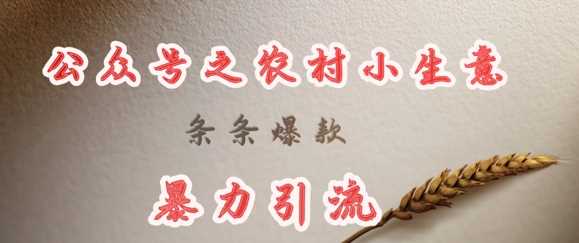 deepseek写农村小项目，条条爆款，暴力引流-润格副业网-每天分享热门副业赚钱项目