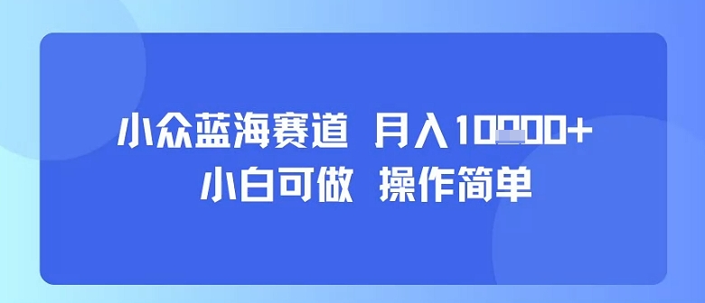 小众蓝海赛道，小白可做，操作简单，每天30分钟，月入1W+-润格副业网-每天分享热门副业赚钱项目