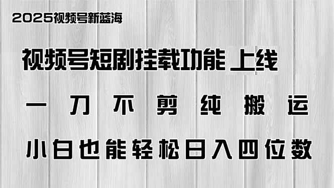 （14310期）视频号短剧挂载功能上线，一刀不剪纯搬运，小白也能轻松日入四位数-润格副业网-每天分享热门副业赚钱项目