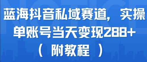 蓝海抖音私域赛道，实操单账号当天变现288+(附教程)-润格副业网-每天分享热门副业赚钱项目