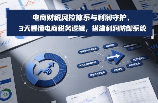 电商财税风控体系与利润守护，3天看懂电商税务逻辑，搭建利润防御系统-润格副业网-每天分享热门副业赚钱项目