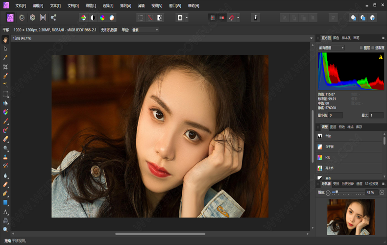 Affinity Designer2 v2.6.2.3228绿色版-润格副业网-每天分享热门副业赚钱项目