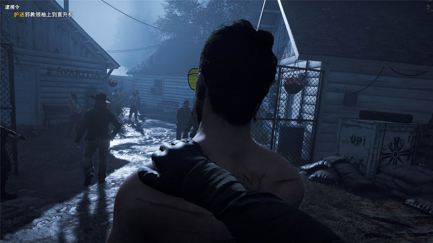 《孤岛惊魂5》v1.011黄金版 附历代合集-润格副业网-每天分享热门副业赚钱项目