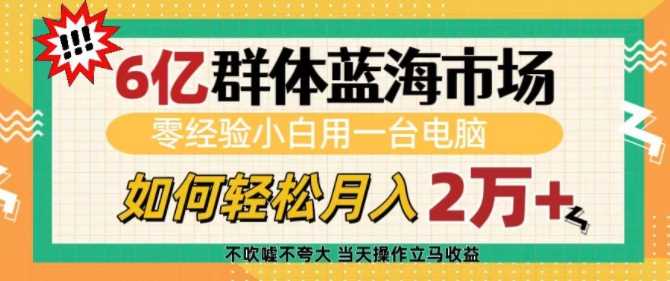 6亿群体蓝海市场,零经验小白用一台电脑,如何轻松月入过w【揭秘】-润格副业网-每天分享热门副业赚钱项目