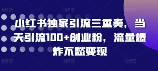 小红书独家引流三重奏,当天引流100+创业粉,流量爆炸不愁变现【揭秘】-润格副业网-每天分享热门副业赚钱项目
