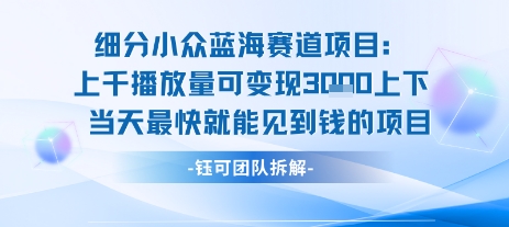 小众蓝海赛道项目：当天变现1k+适合新手操作 +适合长期玩-润格副业网-每天分享热门副业赚钱项目