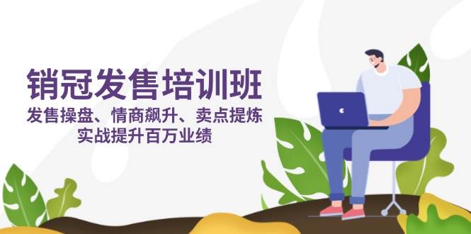 （14203期）销冠 发售培训班：发售 操盘+情商 飙升+卖点 提炼，实战提升百万业绩-润格副业网-每天分享热门副业赚钱项目