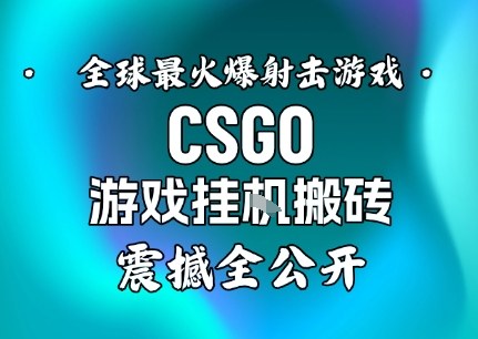 【年底大揭秘】基于全球最火爆的射击CSGO游戏挂G搬砖，日入5张+，震撼公开-润格副业网-每天分享热门副业赚钱项目