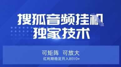 【搜狐音频挂G】独家技术，可矩阵可放大，红利期稳定月入8k【揭秘】-润格副业网-每天分享热门副业赚钱项目