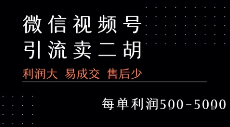 视频号卖二胡教程，利润大 易成交 售后少，一单利润5张+-润格副业网-每天分享热门副业赚钱项目