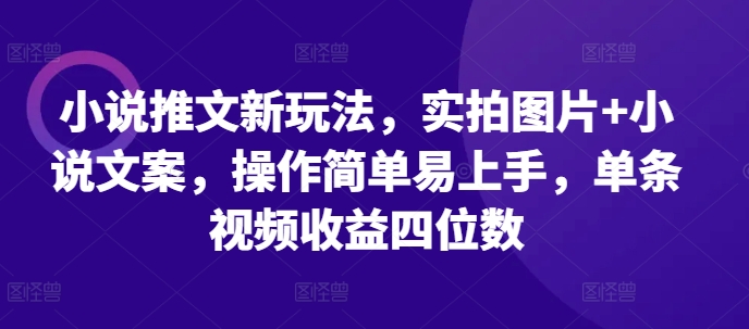 小说推文新玩法,实拍图片+小说文案,操作简单易上手,单条视频收益四位数-润格副业网-每天分享热门副业赚钱项目