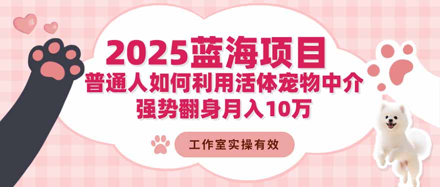 2025蓝海项目：普通人如何利用活体宠物中介，强势翻身月入10万-润格副业网-每天分享热门副业赚钱项目