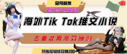 海外tiktok小说推文暴力项目,高停留率,高转化率,上手后一天搞顿饭钱不是问题-润格副业网-每天分享热门副业赚钱项目