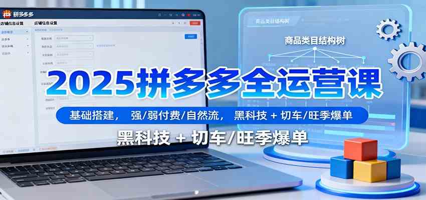 2025拼多多全运营课：基础搭建，强/弱付费/自然流，黑科技 + 切车/旺季爆单-润格副业网-每天分享热门副业赚钱项目