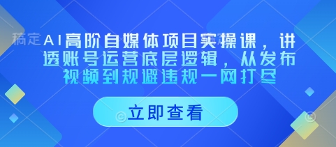 AI高阶自媒体项目实操课,讲透账号运营底层逻辑,从发布视频到规避违规一网打尽-润格副业网-每天分享热门副业赚钱项目
