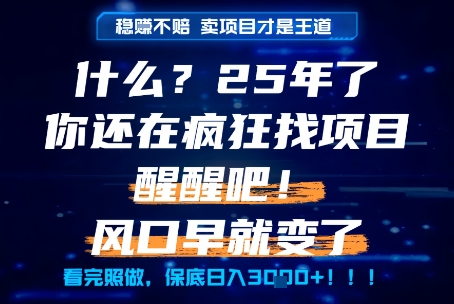 什么？25年你还在疯狂找项目做，醒醒吧，看完这些你全都懂了！【揭秘】-润格副业网-每天分享热门副业赚钱项目
