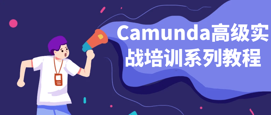 Camunda高级实战培训系列教程-润格副业网-每天分享热门副业赚钱项目