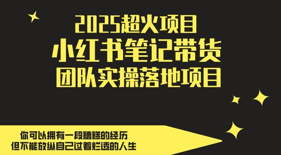 2025超火项目，副业最佳选择，小红书笔记带货团队实操落地项目，，轻松日入5张-润格副业网-每天分享热门副业赚钱项目
