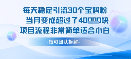 每天稳定引流30个人 当月变成超过了4个W项目流程非常简单适合小白-润格副业网-每天分享热门副业赚钱项目