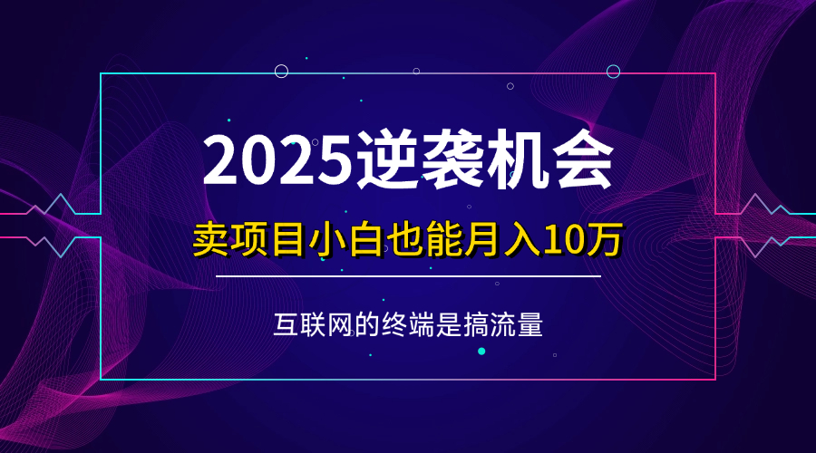 (14122期)项目标题:2025逆袭机会,卖项目小白也能轻松月入10万+-润格副业网-每天分享热门副业赚钱项目
