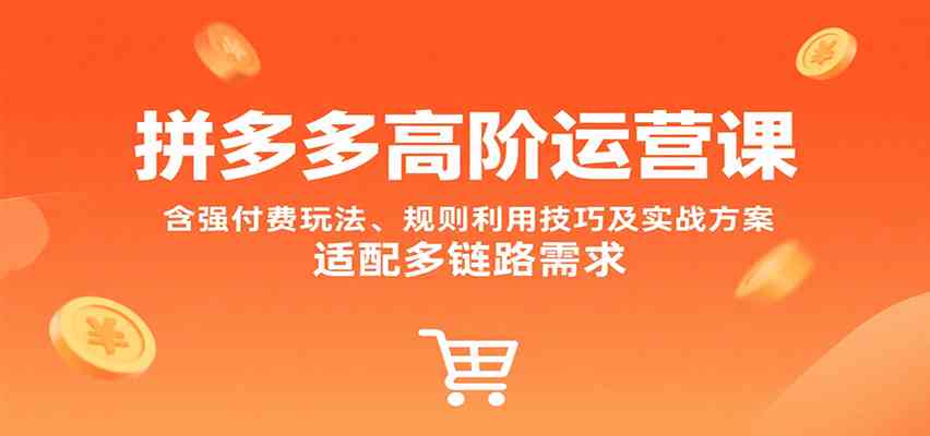拼多多高阶运营课，含强付费玩法、规则利用技巧及实战方案，适配多链路需求-润格副业网-每天分享热门副业赚钱项目