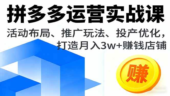 (16135期)拼多多运营实战课,活动布局、推广玩法、投产优化,打造月入3w+赚钱店铺-润格副业网-每天分享热门副业赚钱项目