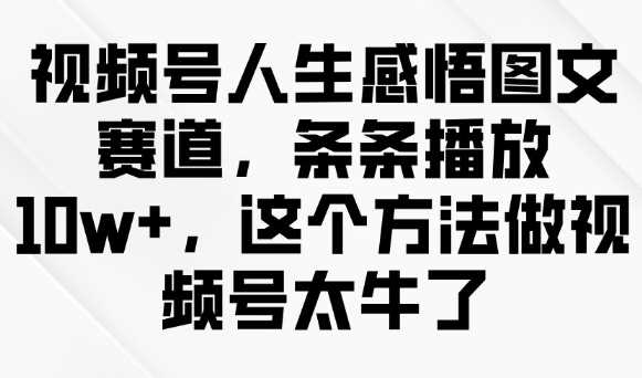 视频号人生感悟图文赛道,条条播放10w+,这个方法做视频号太牛了-润格副业网-每天分享热门副业赚钱项目