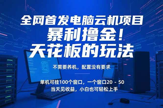 （15323期）电脑云机项目 暴力撸金玩法，不需要养机 配置没有要求 单机100个窗口一…-润格副业网-每天分享热门副业赚钱项目