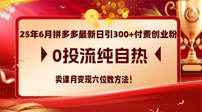 (14989期)25年6月拼多多最新日引300+付费创业粉,0投流纯自热 卖课月变现六位数方法-润格副业网-每天分享热门副业赚钱项目