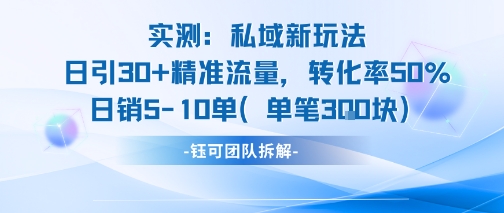 实测私域新玩法日引30加精准流量转化率50%日销5-10单每笔3张-润格副业网-每天分享热门副业赚钱项目