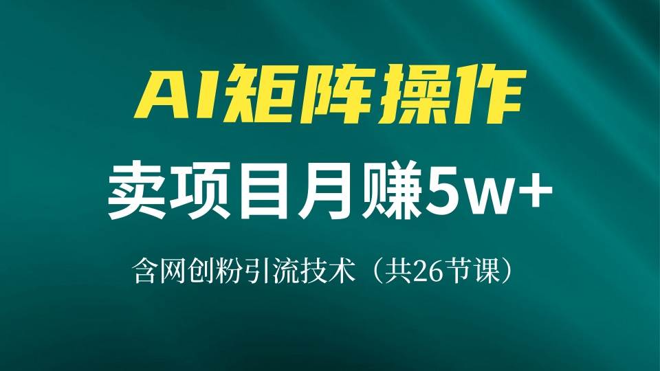 (13335期)网创IP打造课,借助AI卖项目月赚5万+,含引流技术(共26节课)-润格副业网-每天分享热门副业赚钱项目