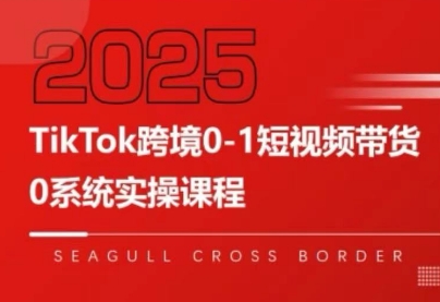 大亿老师·TikTok跨境0-1短视频带货-润格副业网-每天分享热门副业赚钱项目