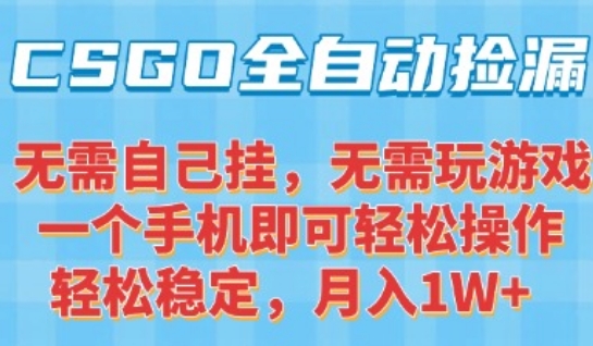 CSGO自动捡漏项目,最新独家玩法,一个手机可操作,新手小白轻松月入1W+,操作简单易上手【揭秘】-润格副业网-每天分享热门副业赚钱项目